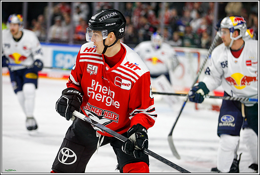 PENNY DEL; Koelner Haie- Red BUll Muenchen; Koeln, 08.11.2022